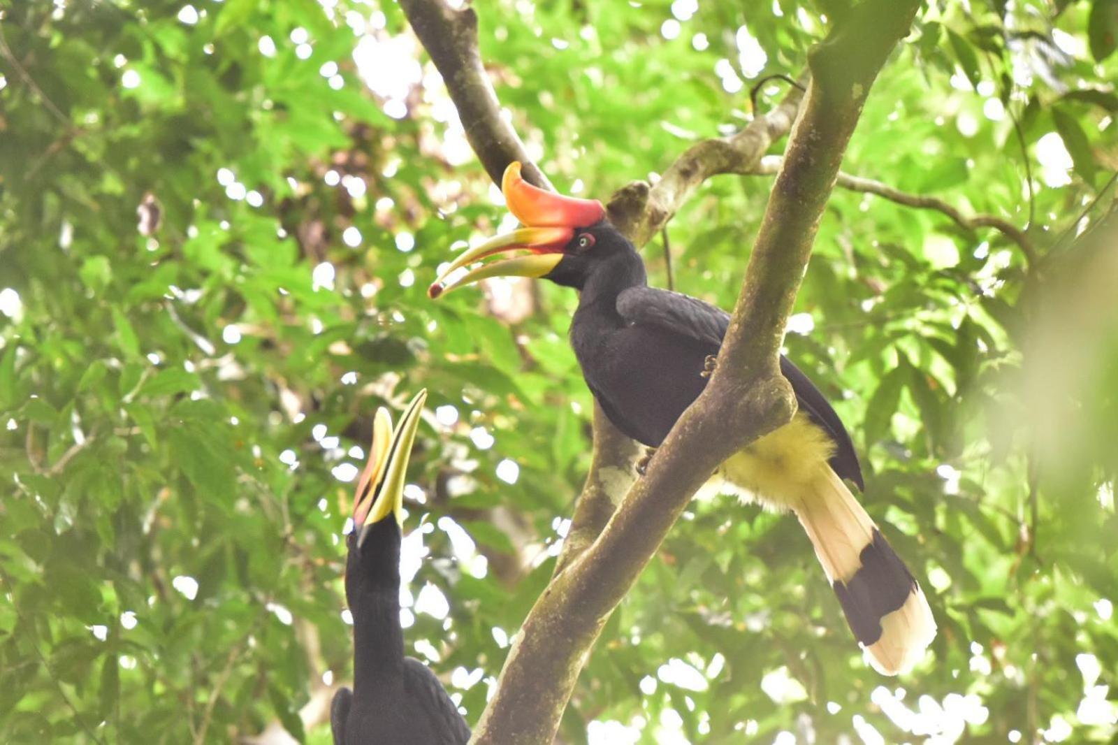 R5 Keramba Inn Bukit Lawang Buitenkant foto
